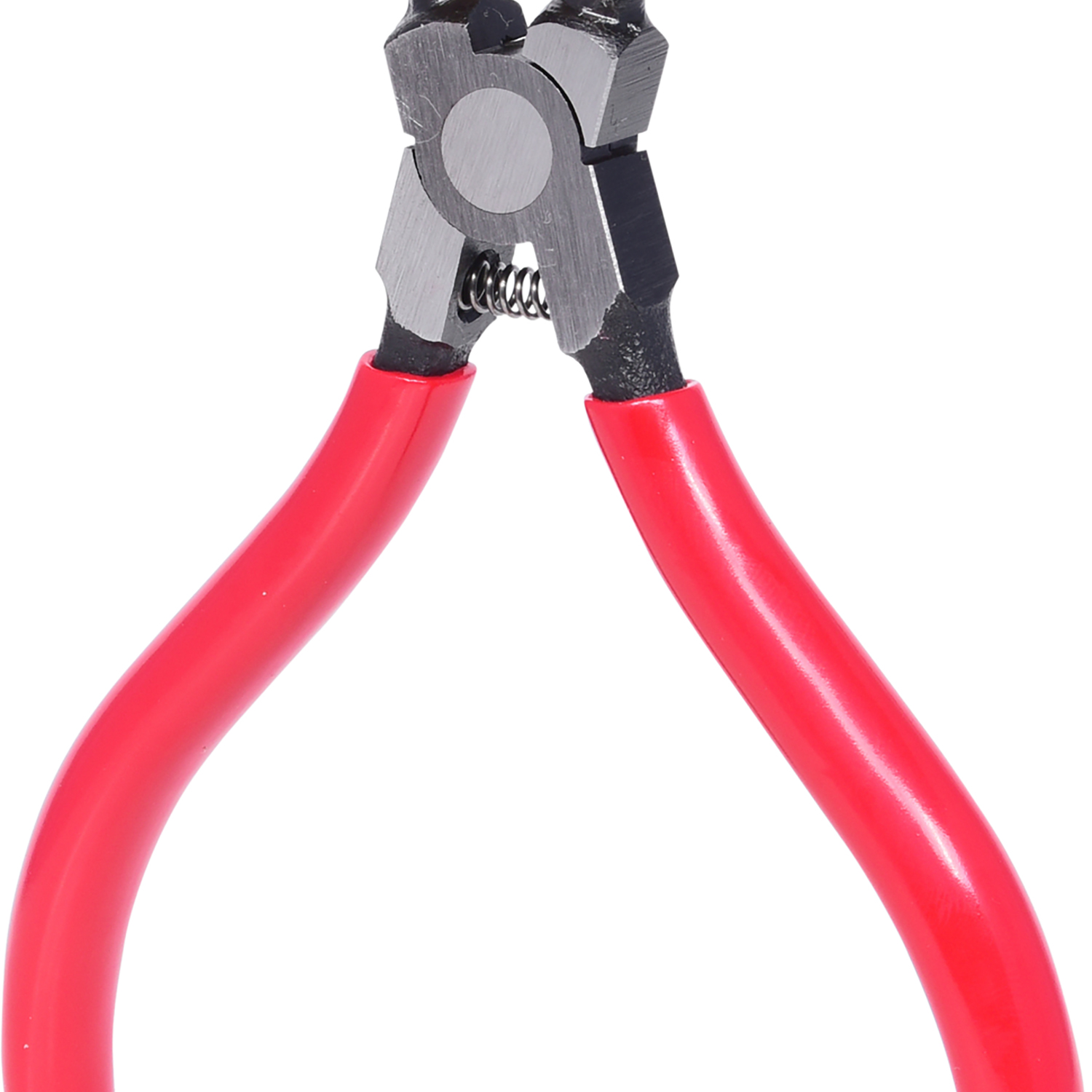 FOT_PRO_ALG_500.1031_SALL_AING_V1