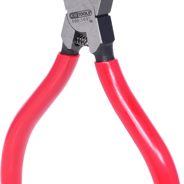 FOT_PRO_VAR_500.1031.2_SALL_AING_V1