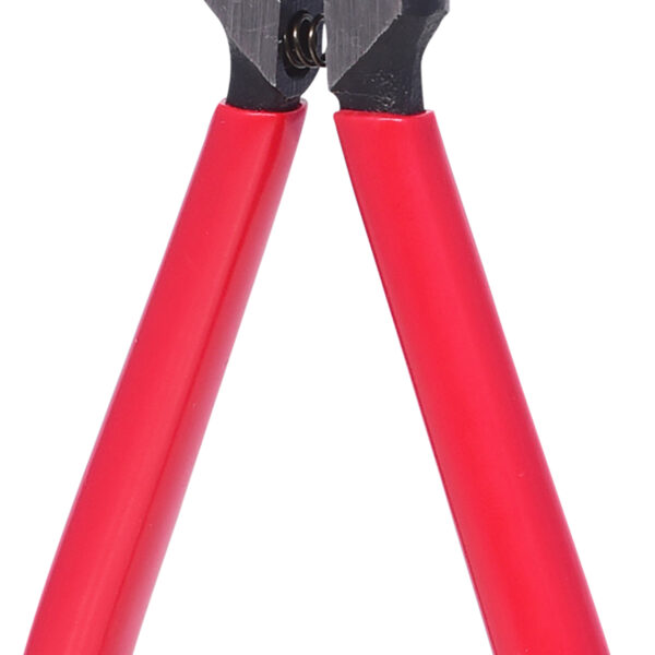 FOT_PRO_ALG_500.1026_SALL_AING_V1