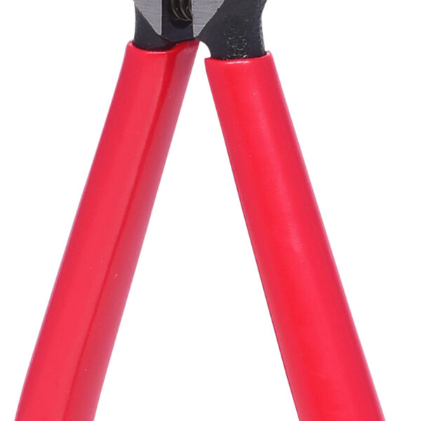 FOT_PRO_VAR_500.1026.2_SALL_AING_V1