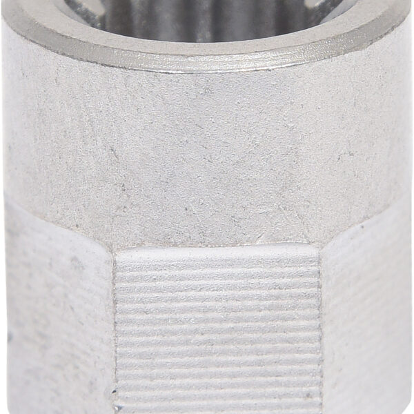 FOT_PRO_VAR_460.2619.6_SALL_AING_V1