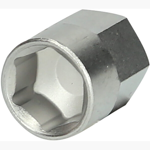 FOT_PRO_ALG_460.2617_SALL_AING_V1