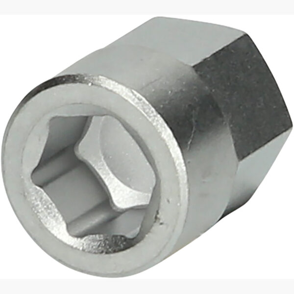 FOT_PRO_ALG_460.2616_SALL_AING_V1