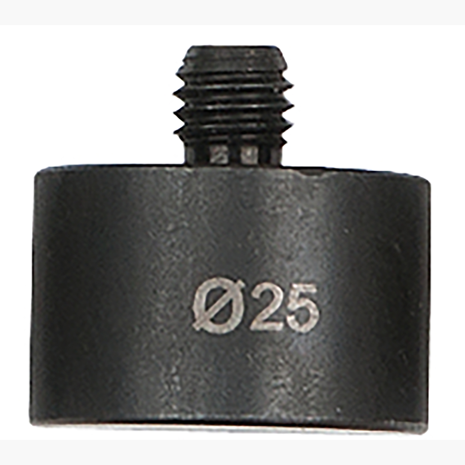 FOT_PRO_ALG_AUTO_455.0188_SALL_AING_V1