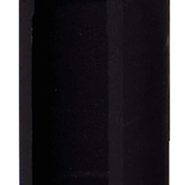 FOT_PRO_ALG_AUTO_455.0034_SALL_AING_V1