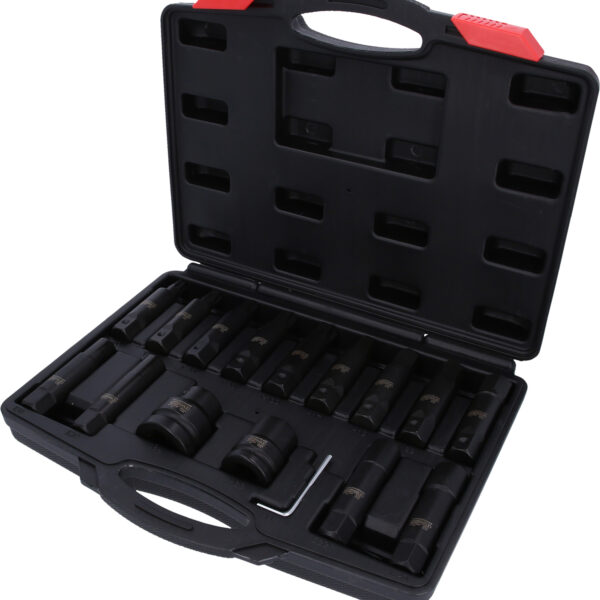 FOT_PRO_ALG_450.0420_SALL_AING_V1