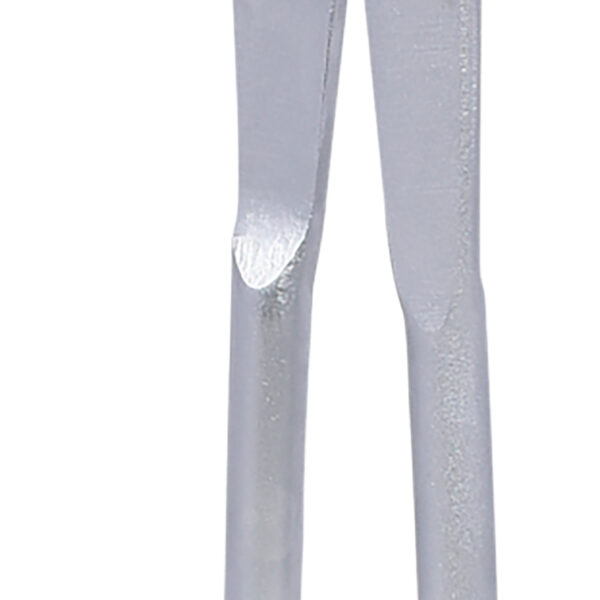 FOT_PRO_ALG_450.0320_SALL_AING_V1