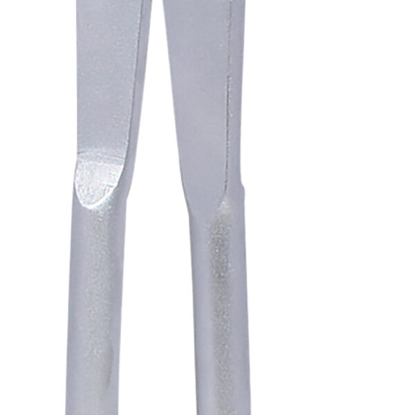 FOT_PRO_VAR_450.0320.2_SALL_AING_V1