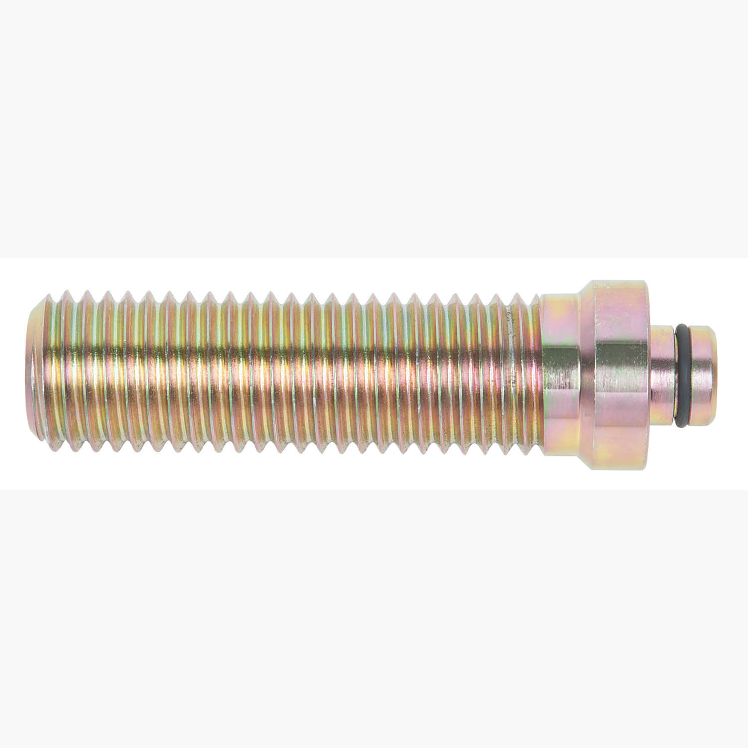 FOT_PRO_ALG_AUTO_440.3049_SALL_AING_V1