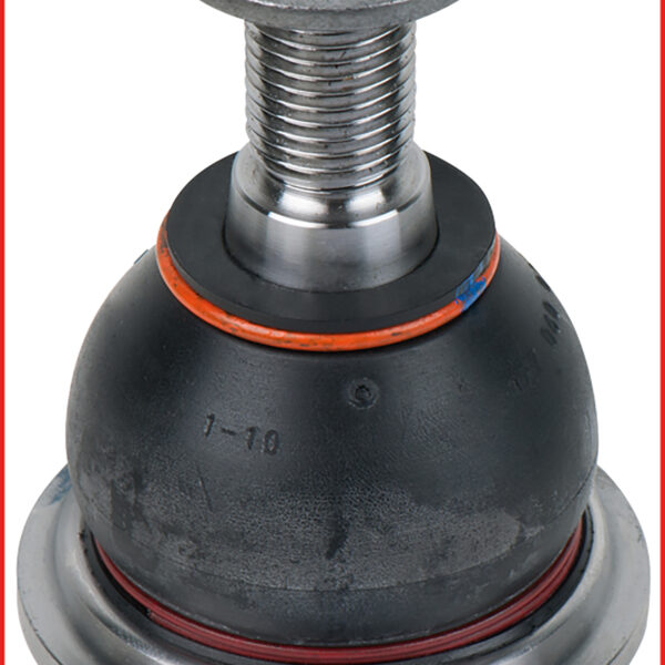 FOT_ANW_ALG_AUTO_440.0455.AW1_SALL_AING_V1