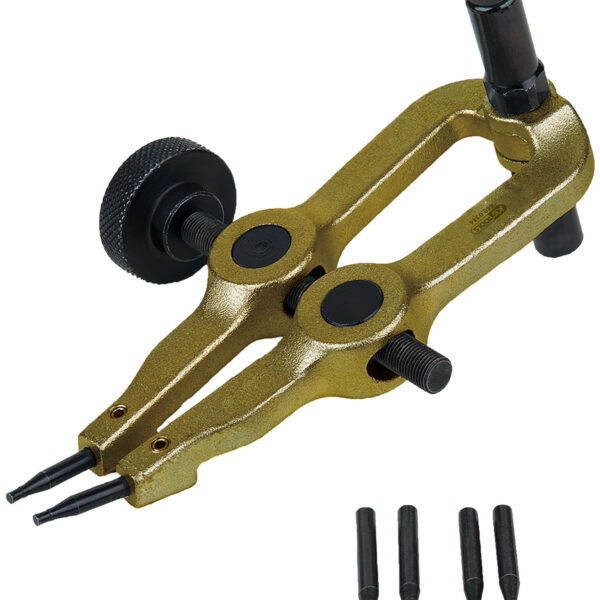 FOT_PRO_ALG_AUTO_440.0340_SALL_AING_V1