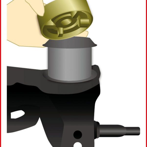 FOT_ANW_ALG_AUTO_440.0275.AW1_SALL_AING_V1