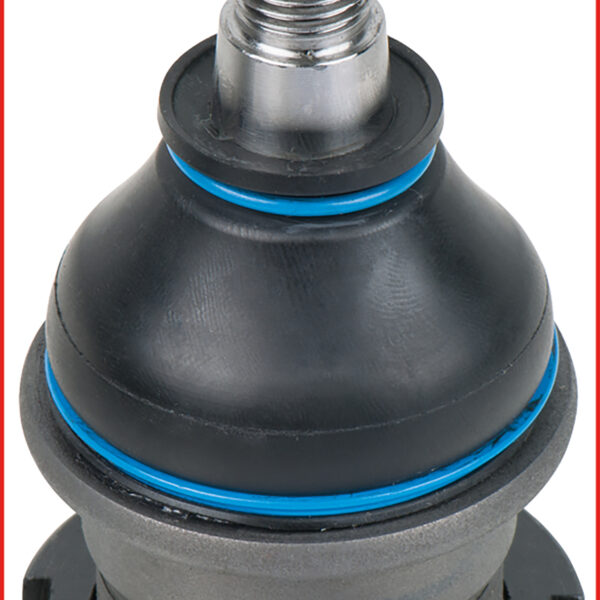 FOT_ANW_ALG_AUTO_440.0238.AW1_SALL_AING_V1