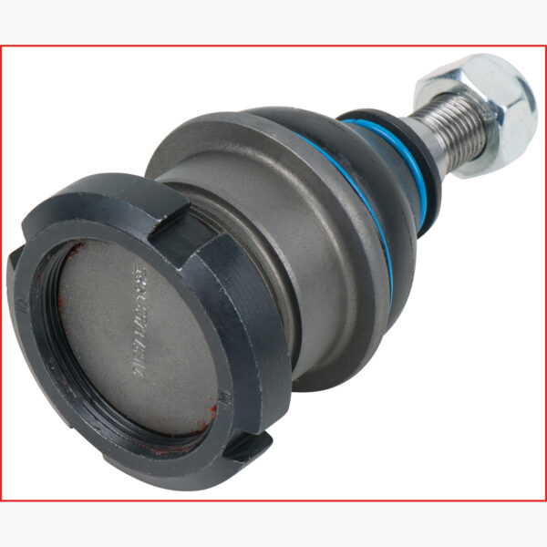 FOT_ANW_ALG_AUTO_440.0238.AW2_SALL_AING_V1