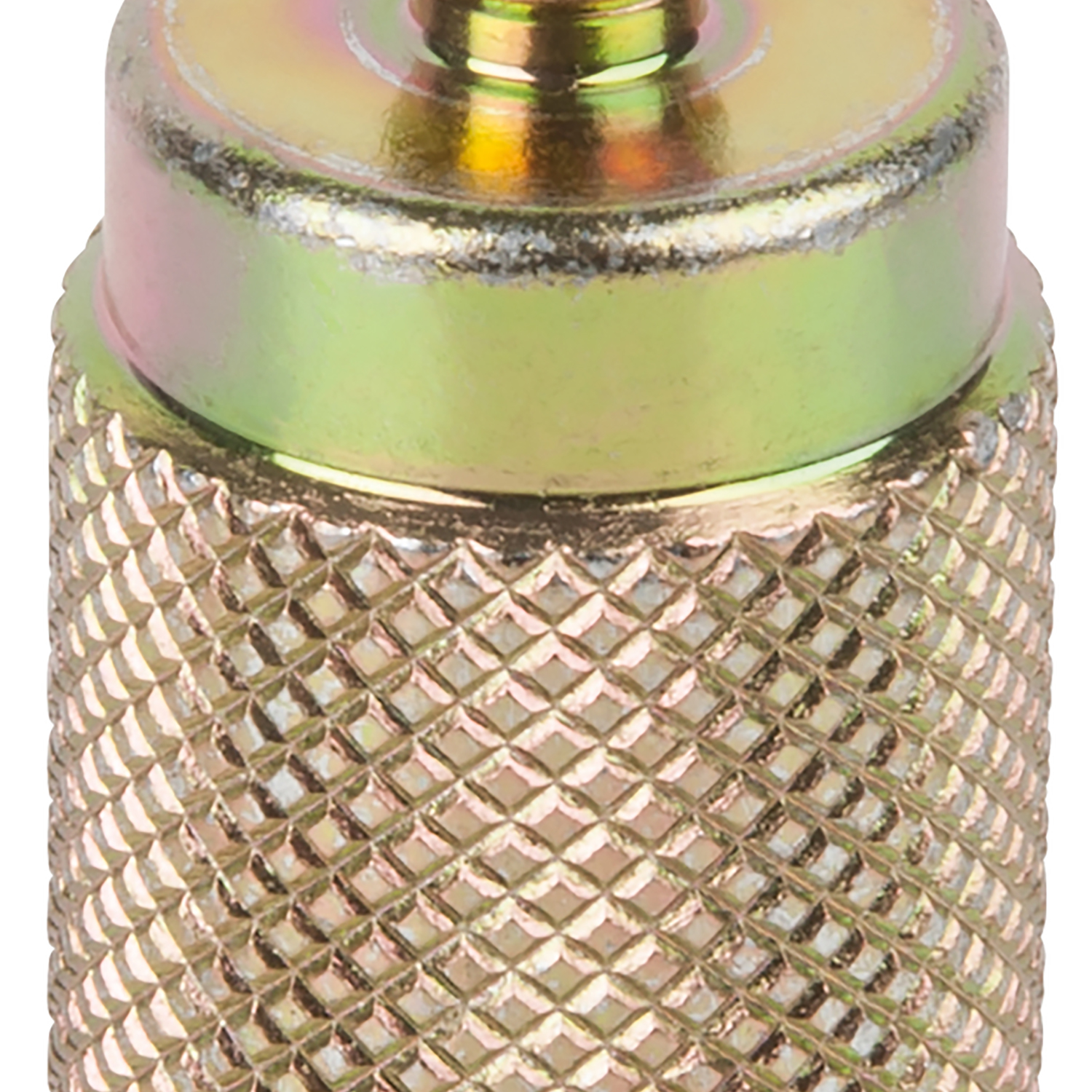 FOT_PRO_ALG_AUTO_440.0137_SALL_AING_V1