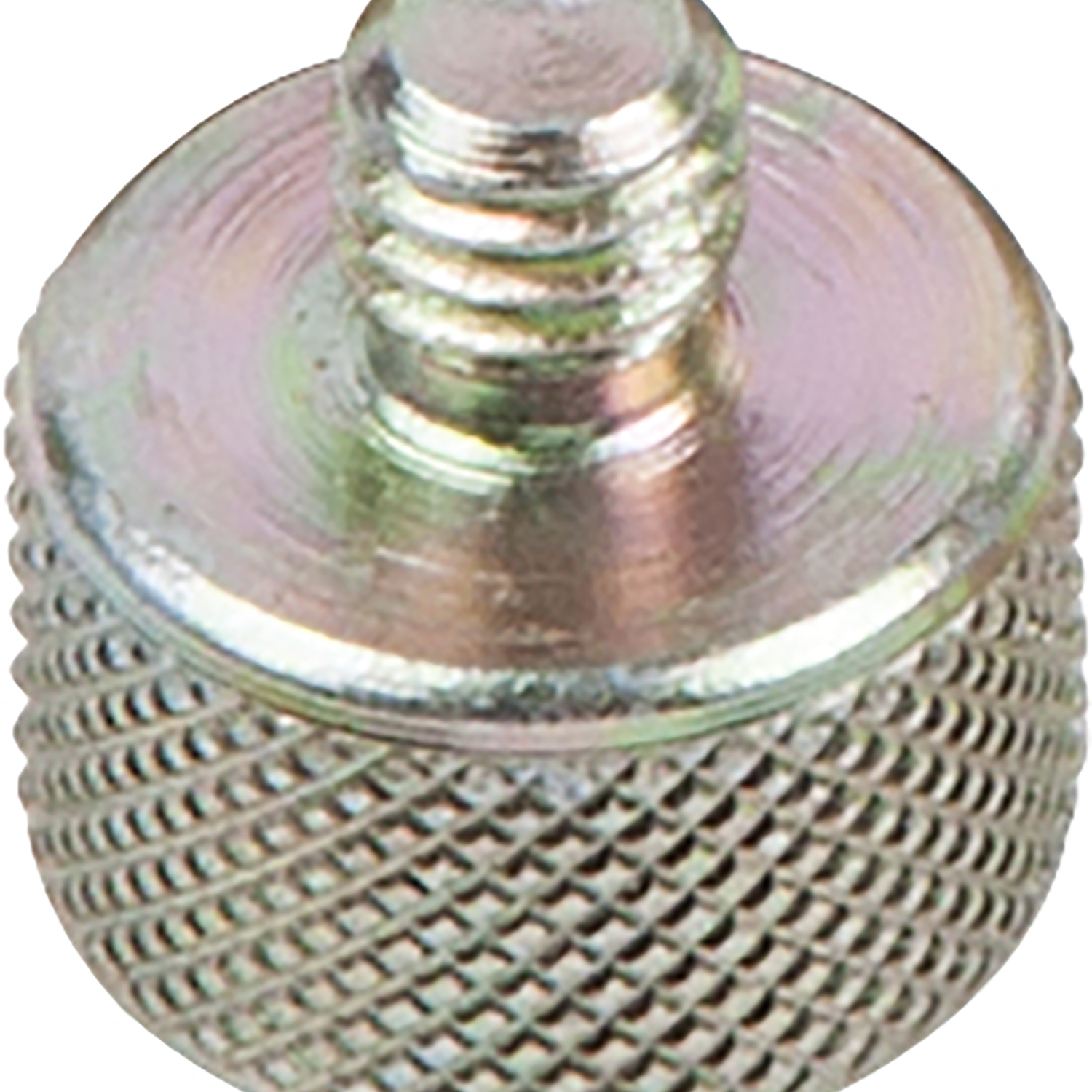 FOT_PRO_ALG_AUTO_440.0132_SALL_AING_V1