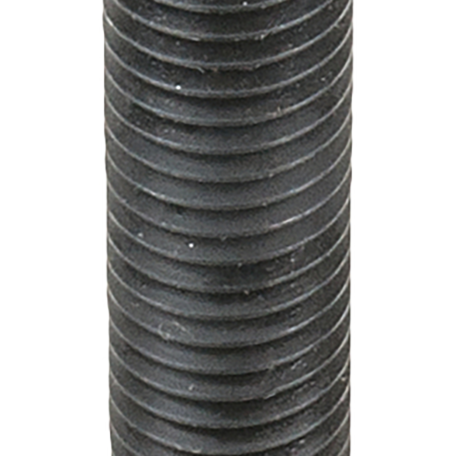 FOT_PRO_ALG_AUTO_440.0102_SALL_AING_V1