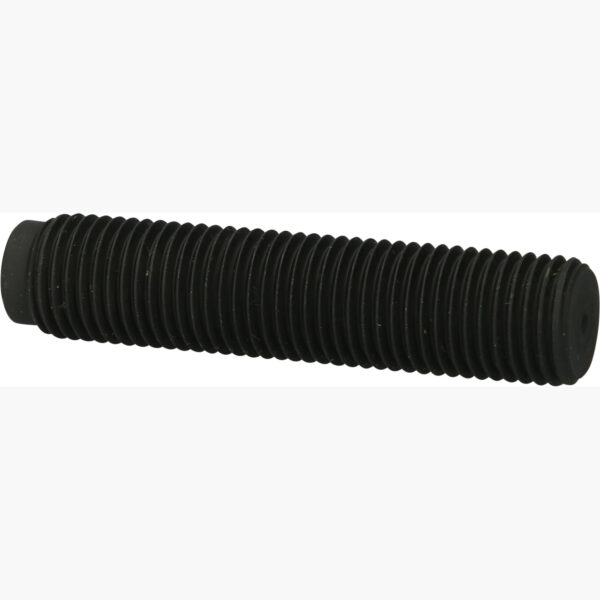 FOT_PRO_ALG_440.0023_SALL_AING_V1