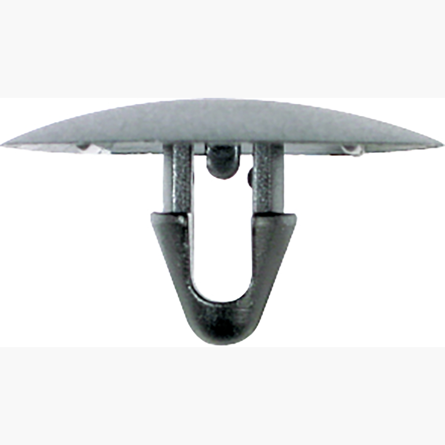 FOT_PRO_ALG_AUTO_420.0778_SALL_AING_V1