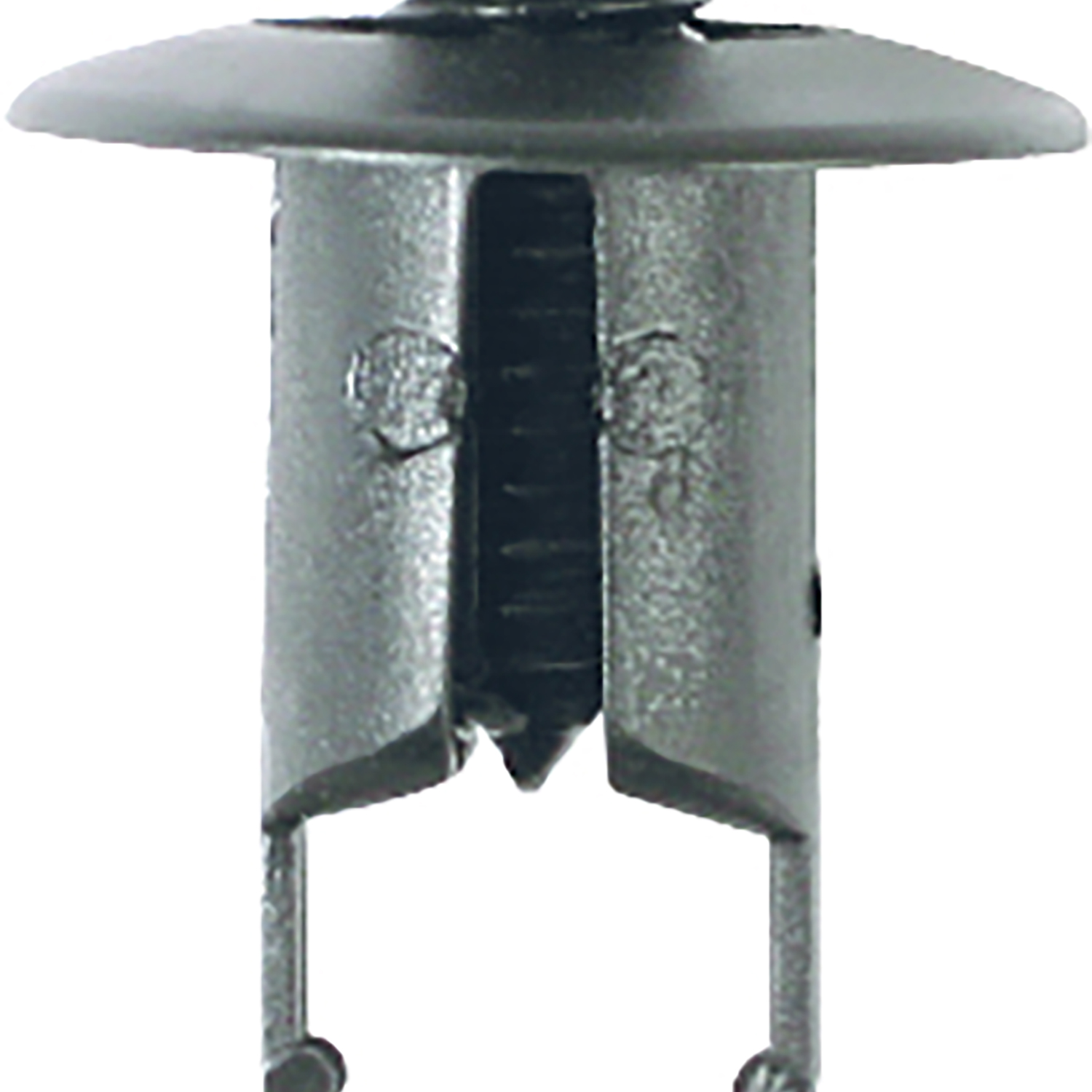 FOT_PRO_ALG_AUTO_420.0772_SALL_AING_V1