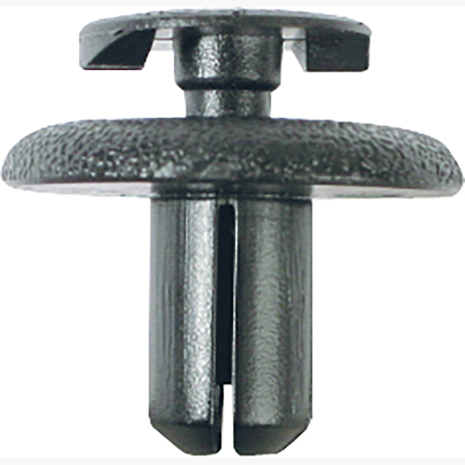 FOT_PRO_ALG_AUTO_420.0769_SALL_AING_V1