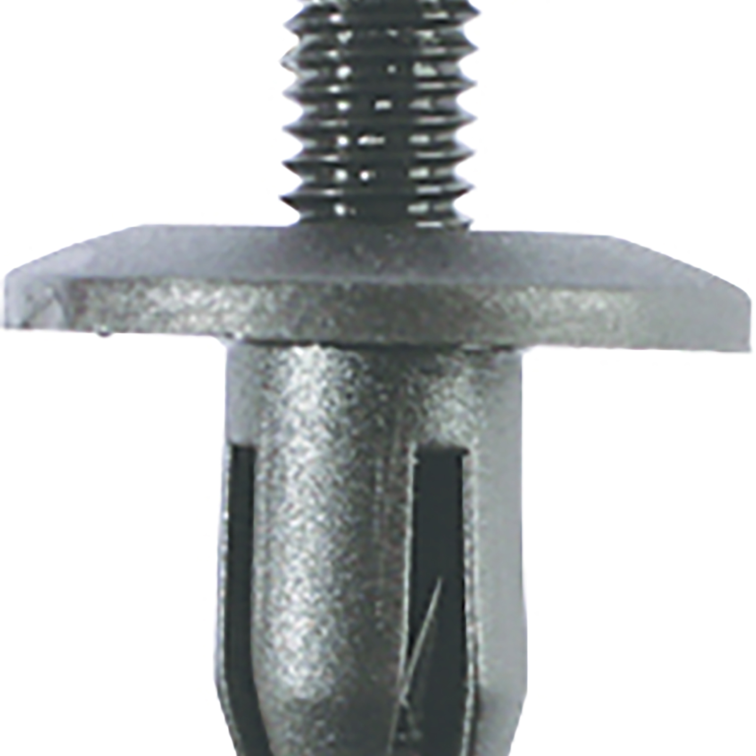 FOT_PRO_ALG_AUTO_420.0554_SALL_AING_V1