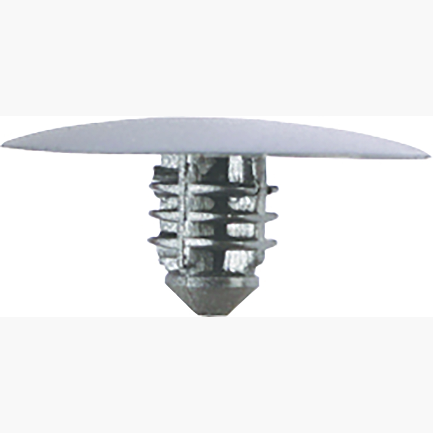 FOT_PRO_ALG_AUTO_420.0409_SALL_AING_V1