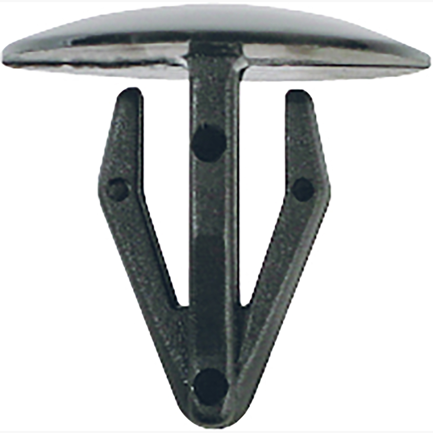 FOT_PRO_ALG_AUTO_420.0365_SALL_AING_V1