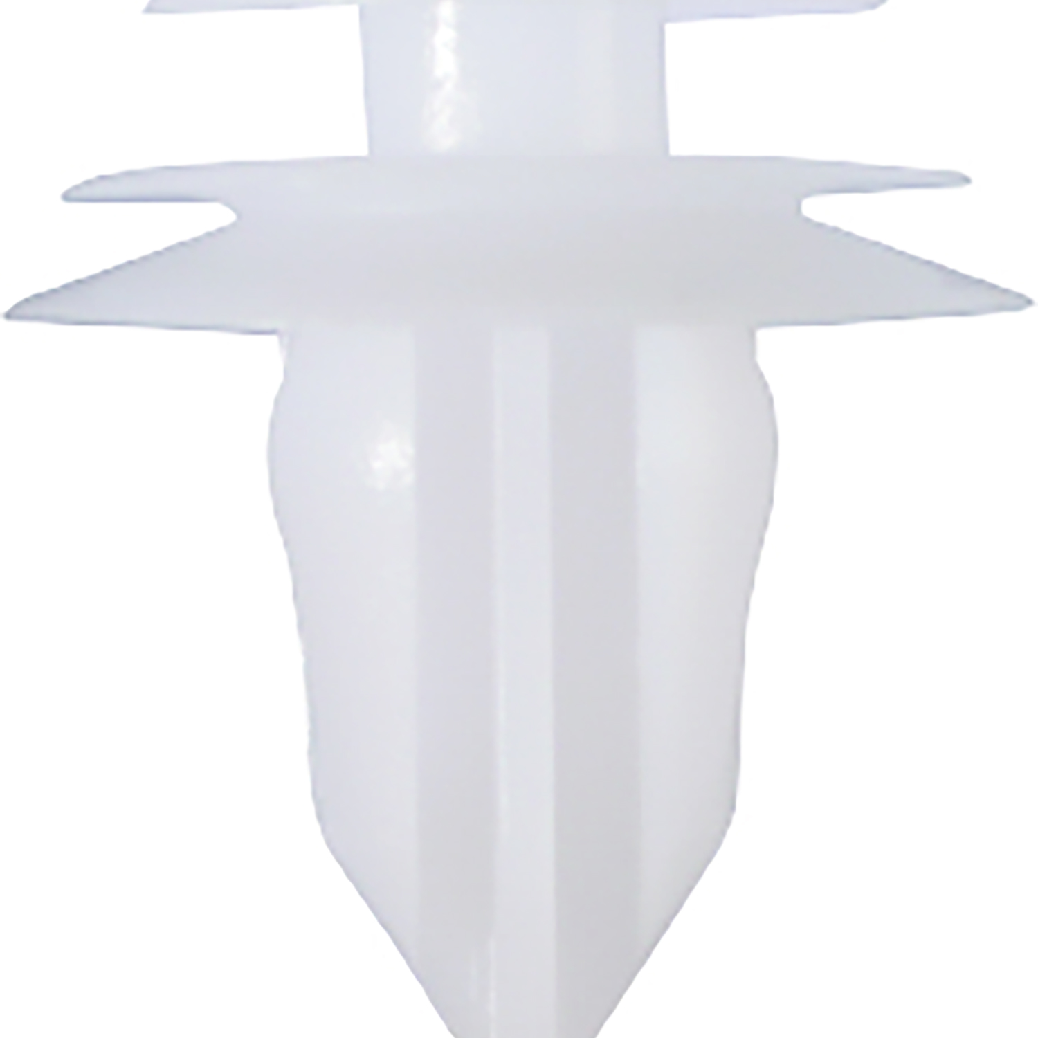 FOT_PRO_ALG_AUTO_420.0356_SALL_AING_V1