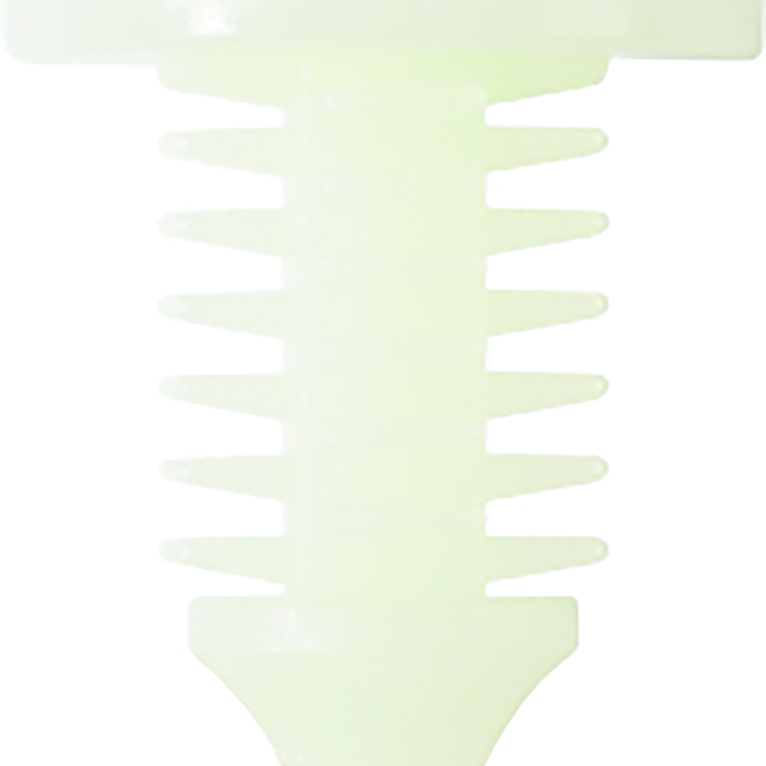 FOT_PRO_ALG_AUTO_420.0315_SALL_AING_V1