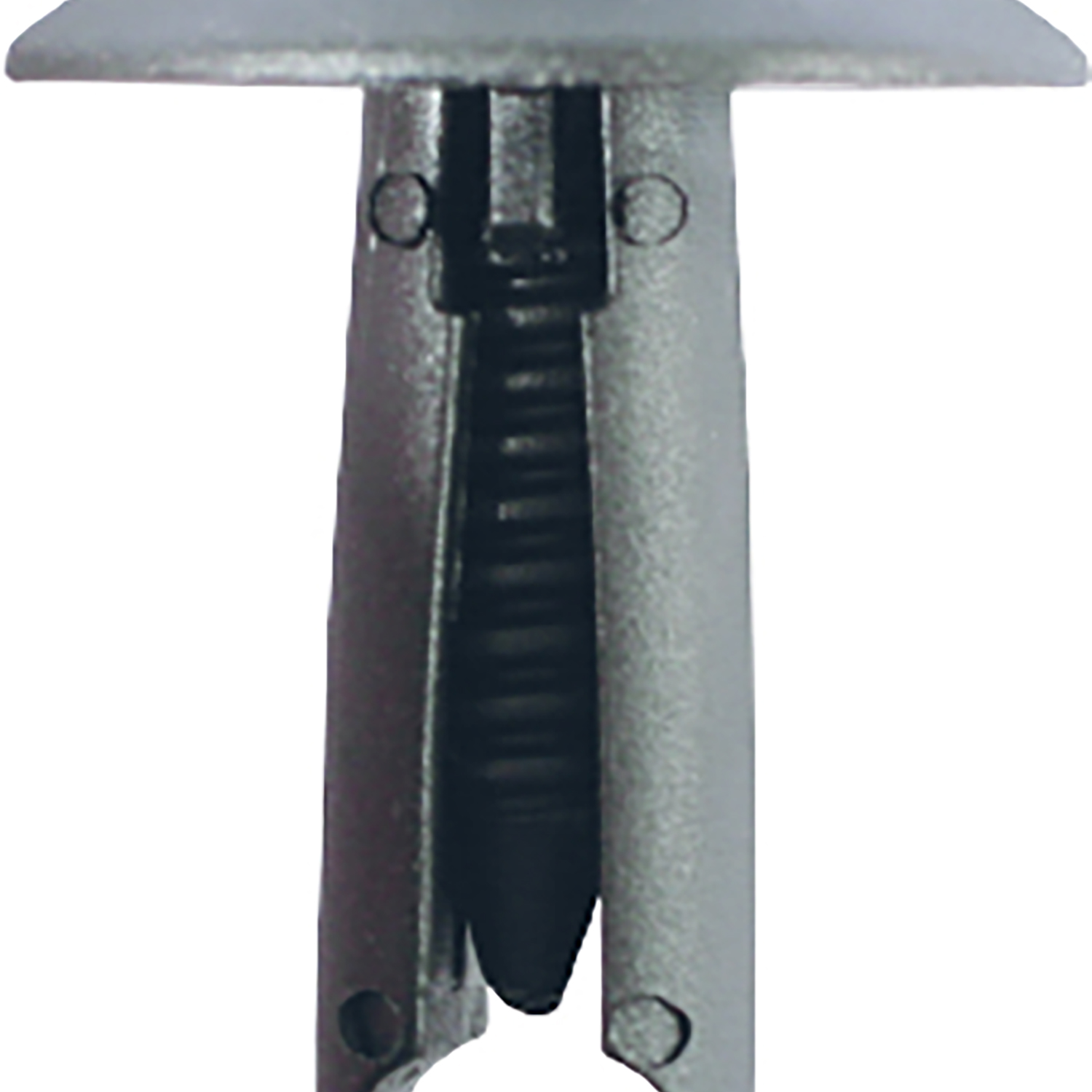 FOT_PRO_ALG_AUTO_420.0257_SALL_AING_V1