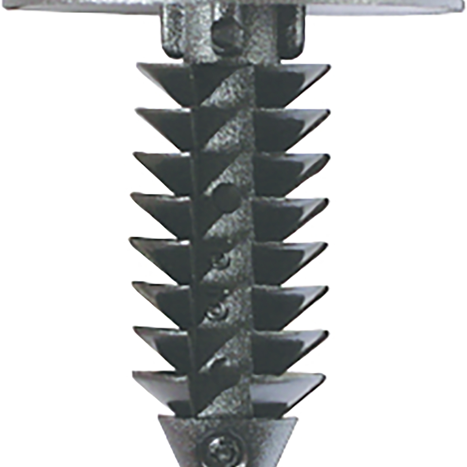 FOT_PRO_ALG_AUTO_420.0251_SALL_AING_V1