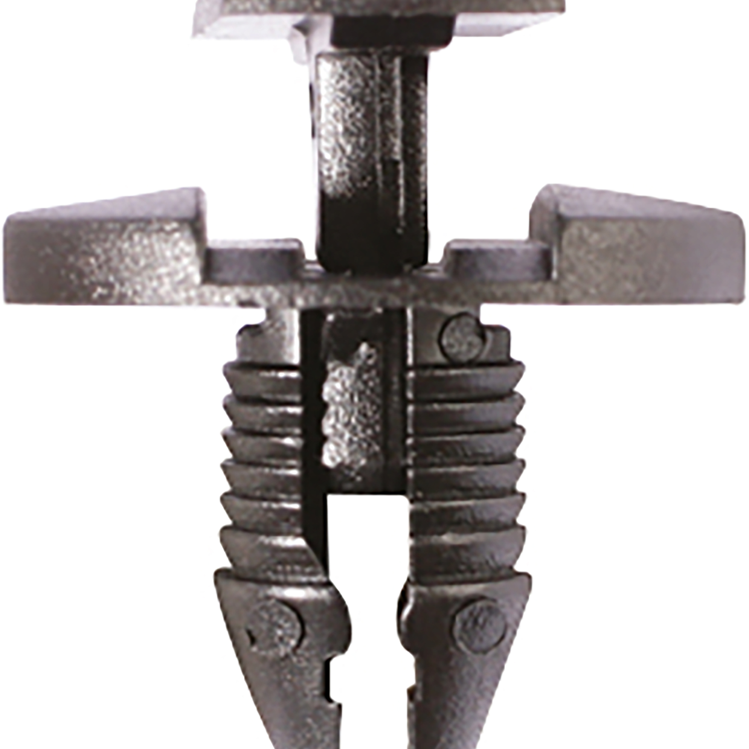 FOT_PRO_ALG_AUTO_420.0151_SALL_AING_V1