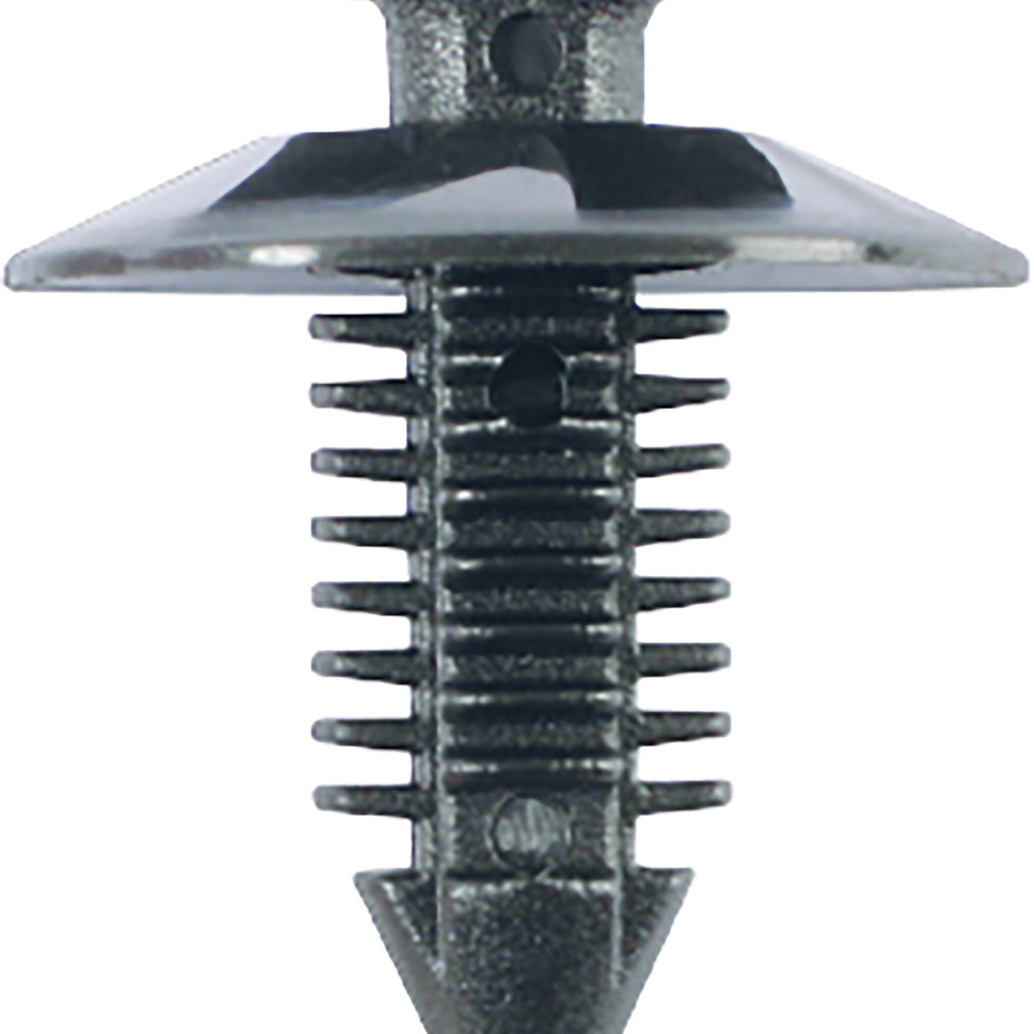 FOT_PRO_ALG_AUTO_420.0101_SALL_AING_V1