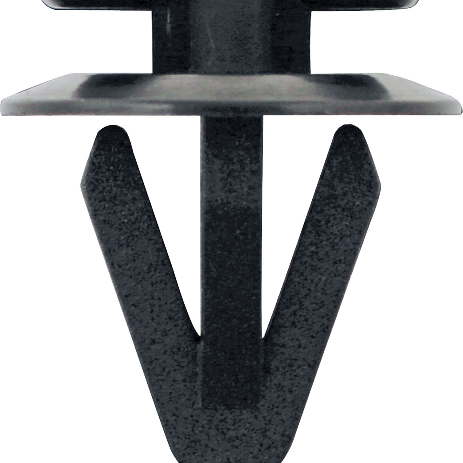 FOT_PRO_ALG_AUTO_420.0069_SALL_AING_V1