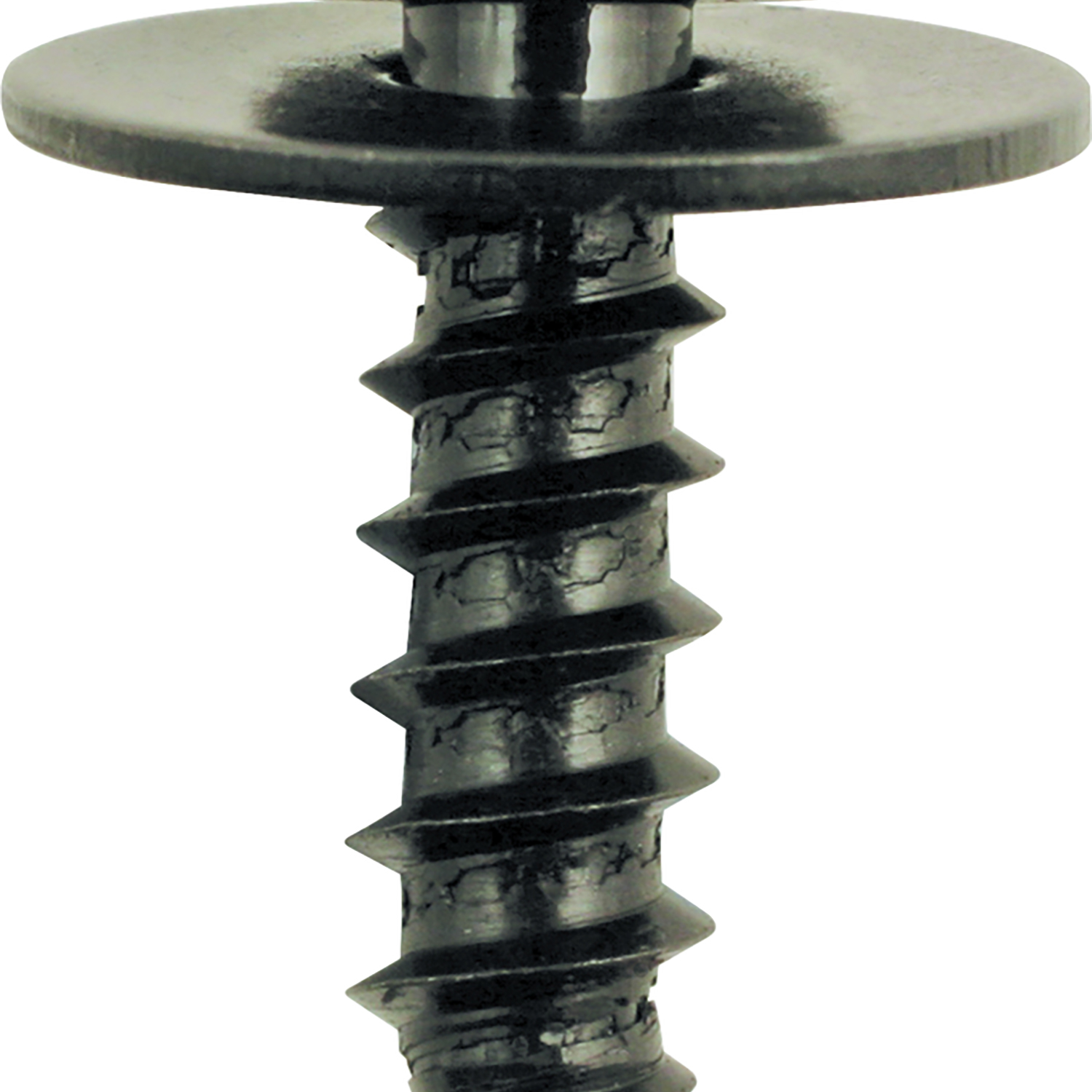 FOT_PRO_ALG_AUTO_420.0907_SALL_AING_V1