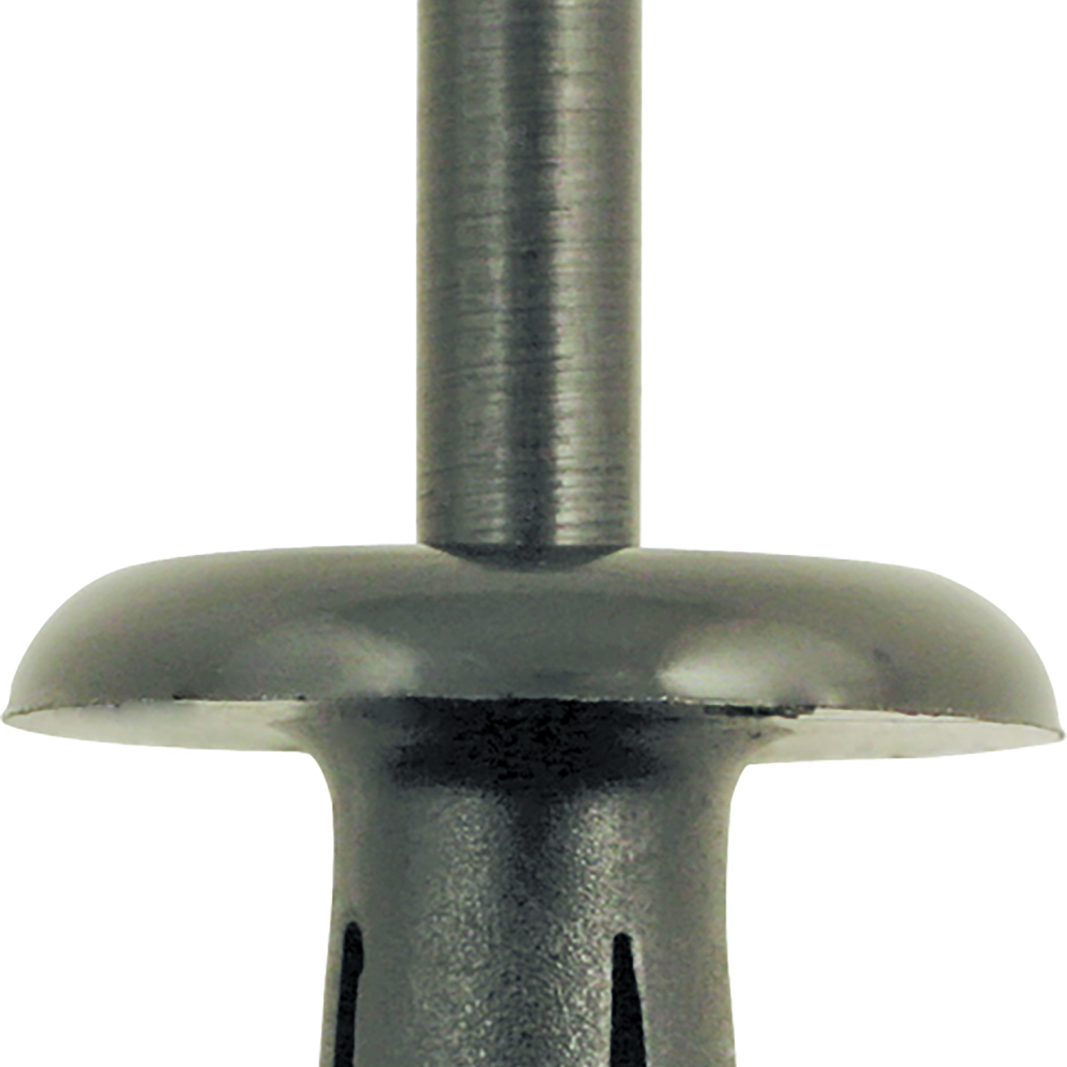 FOT_PRO_ALG_AUTO_420.0801_SALL_AING_V1