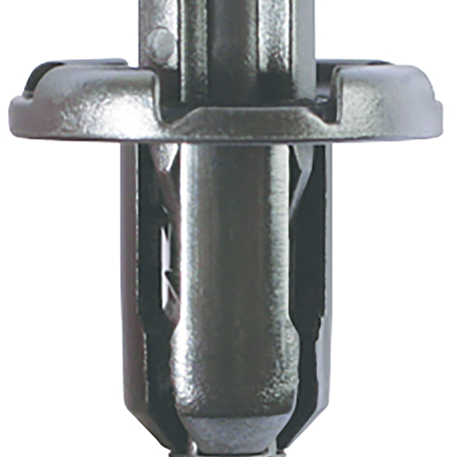 FOT_PRO_ALG_AUTO_420.0506_SALL_AING_V1