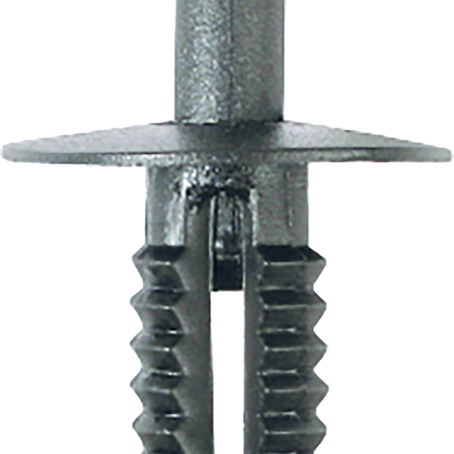 FOT_PRO_ALG_AUTO_420.0455_SALL_AING_V1