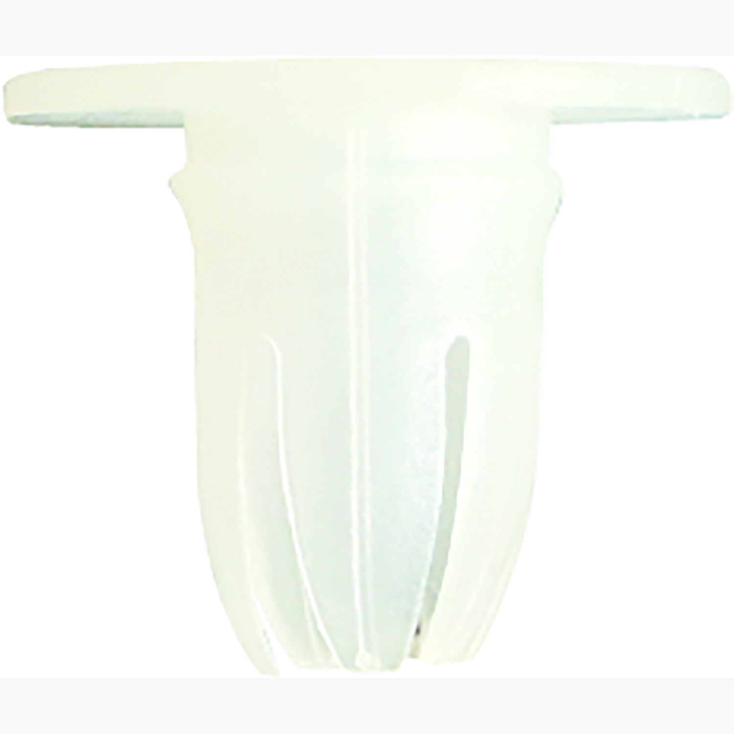 FOT_PRO_ALG_AUTO_420.0454_SALL_AING_V1