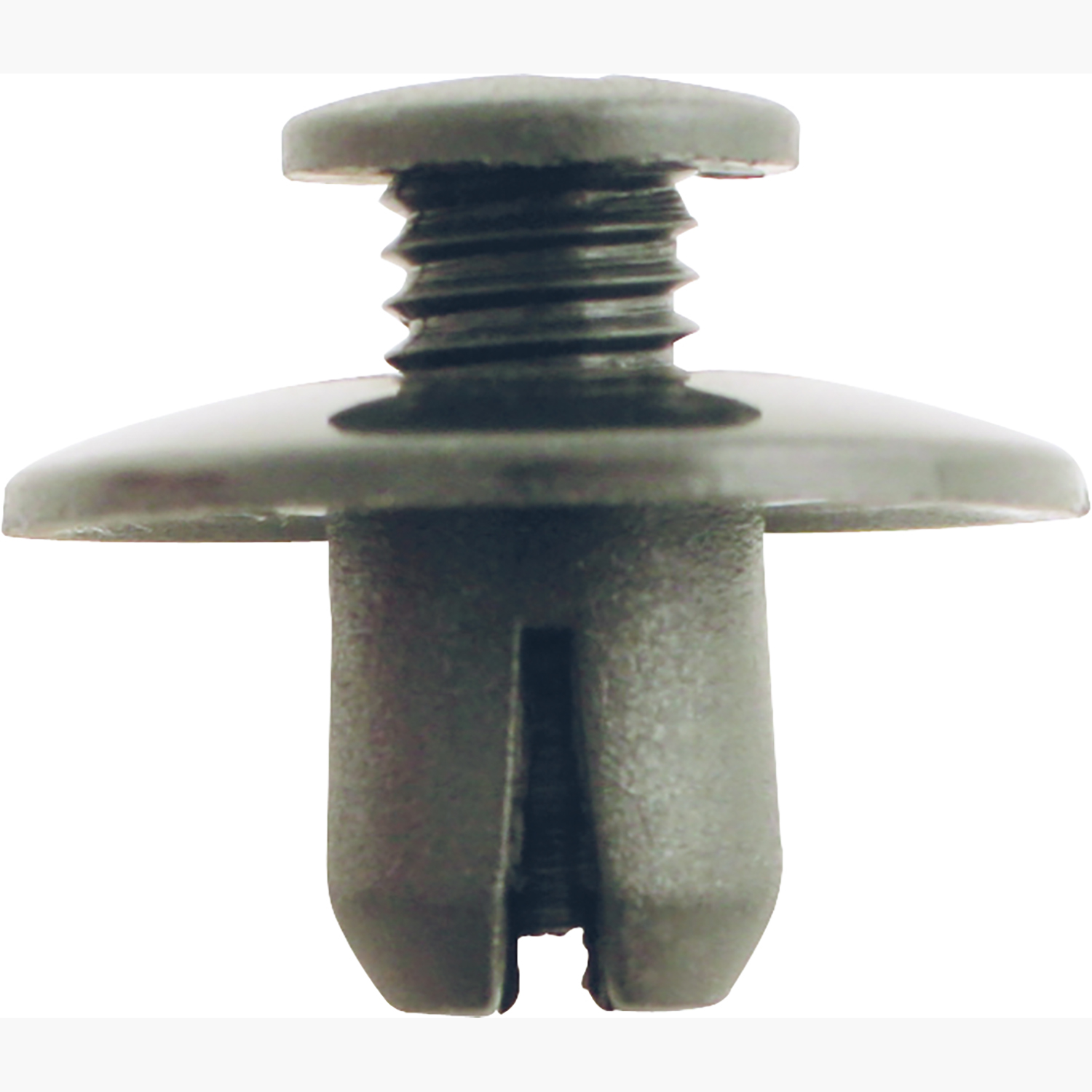 FOT_PRO_ALG_AUTO_420.0352_SALL_AING_V1