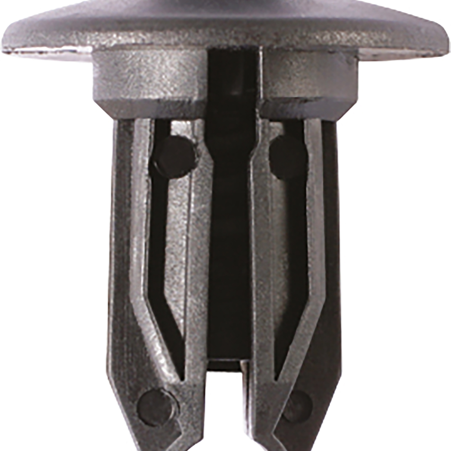 FOT_PRO_ALG_AUTO_420.0308_SALL_AING_V1