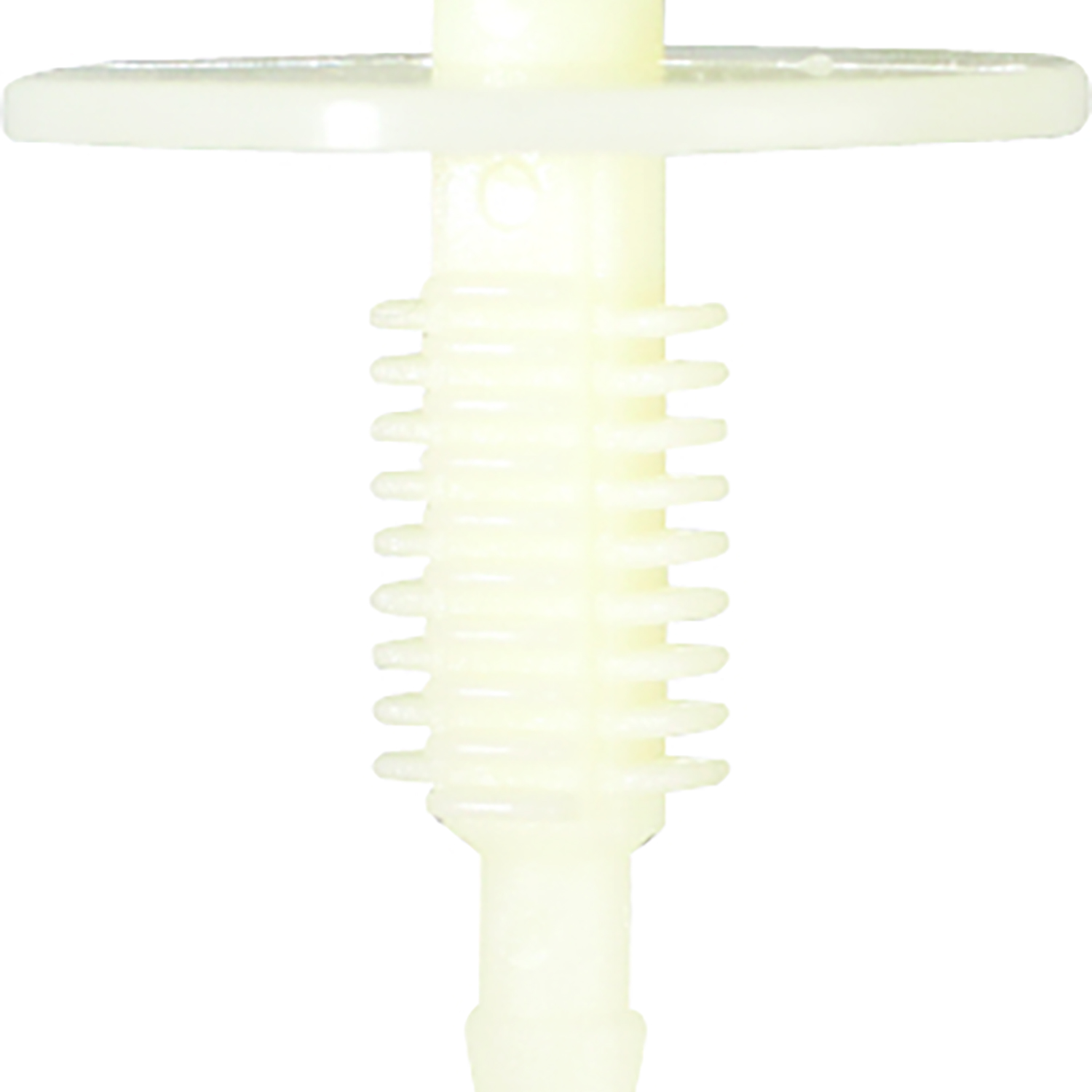 FOT_PRO_ALG_AUTO_420.0264_SALL_AING_V1