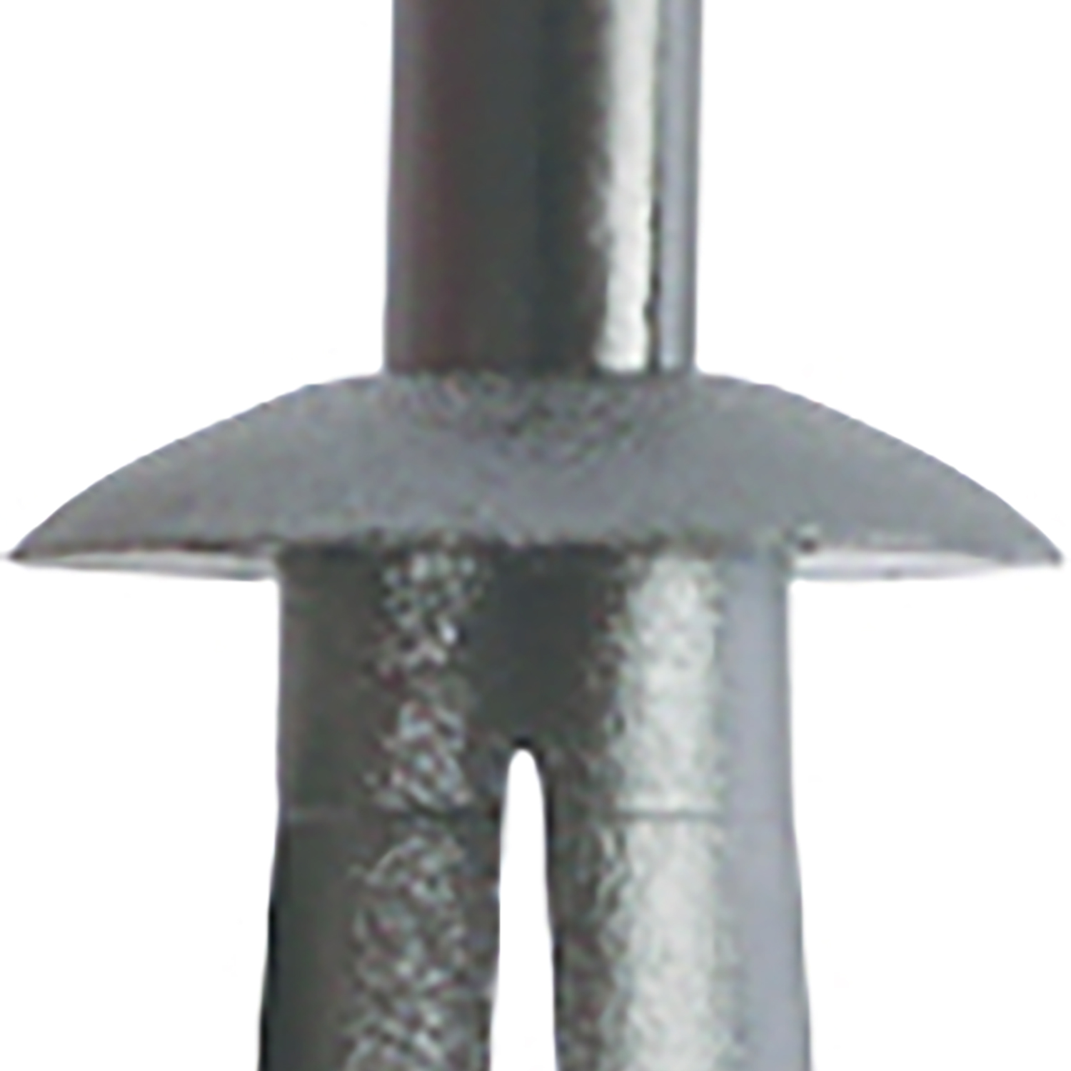 FOT_PRO_ALG_AUTO_420.0061_SALL_AING_V1