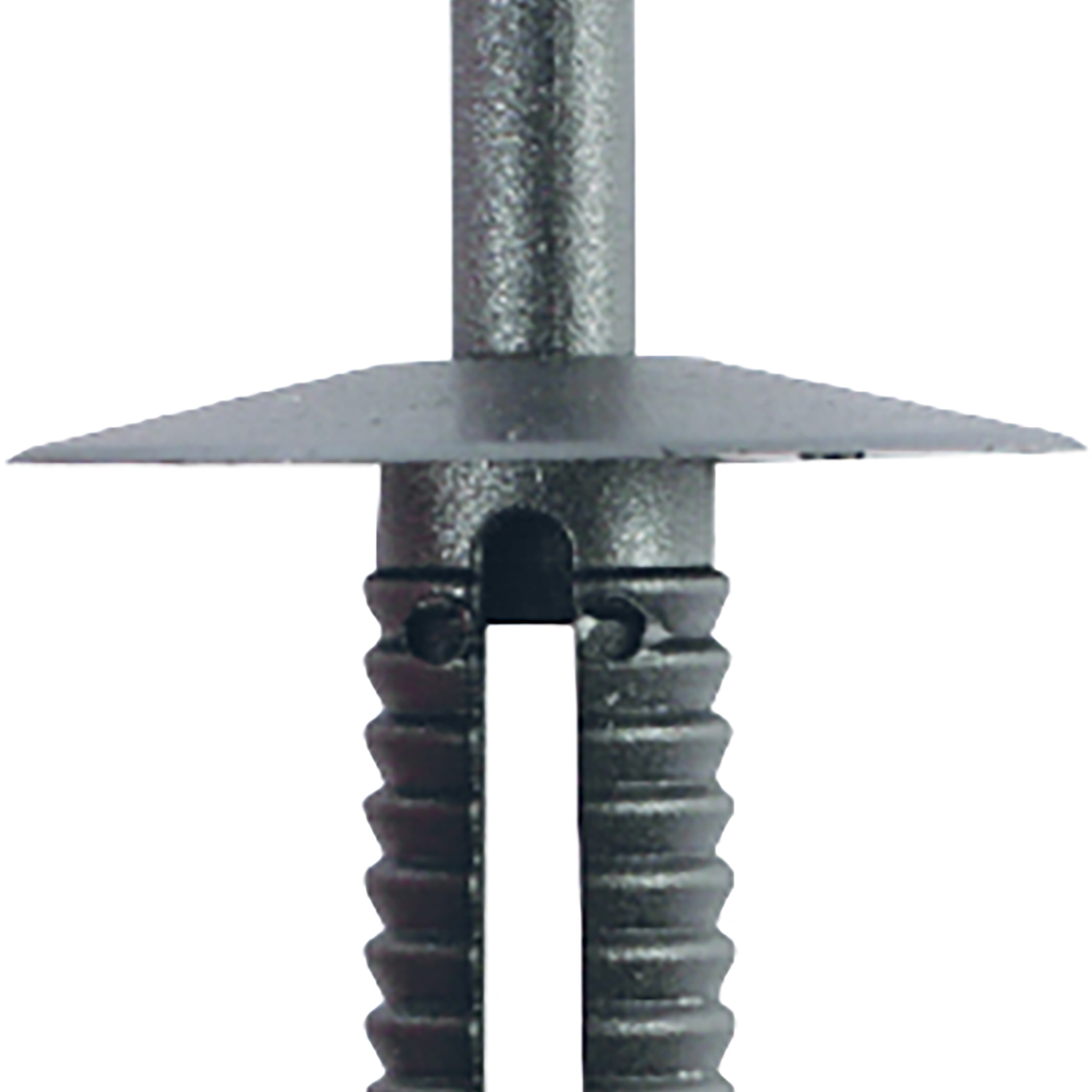 FOT_PRO_ALG_AUTO_420.0052_SALL_AING_V1