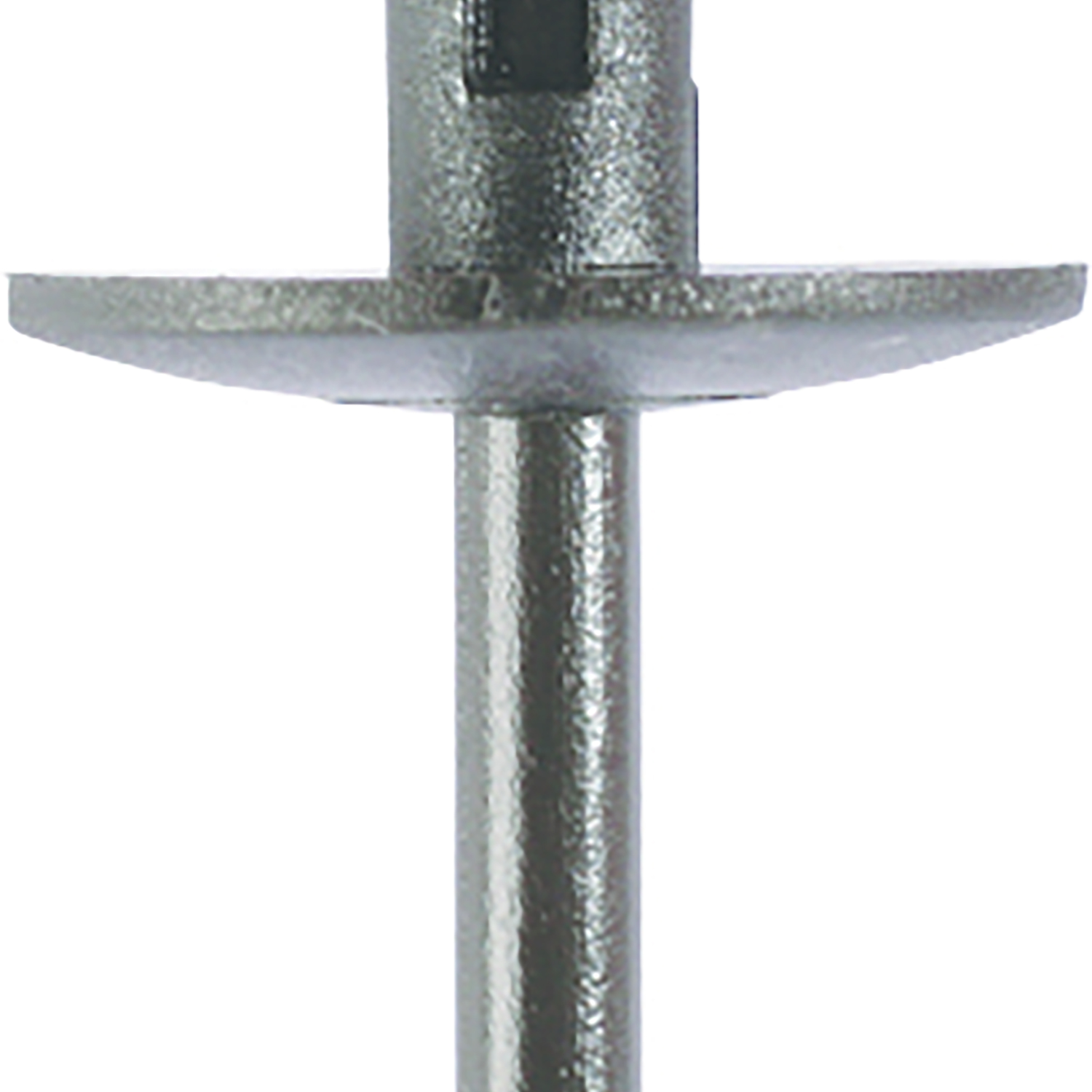 FOT_PRO_ALG_AUTO_420.0051_SALL_AING_V1