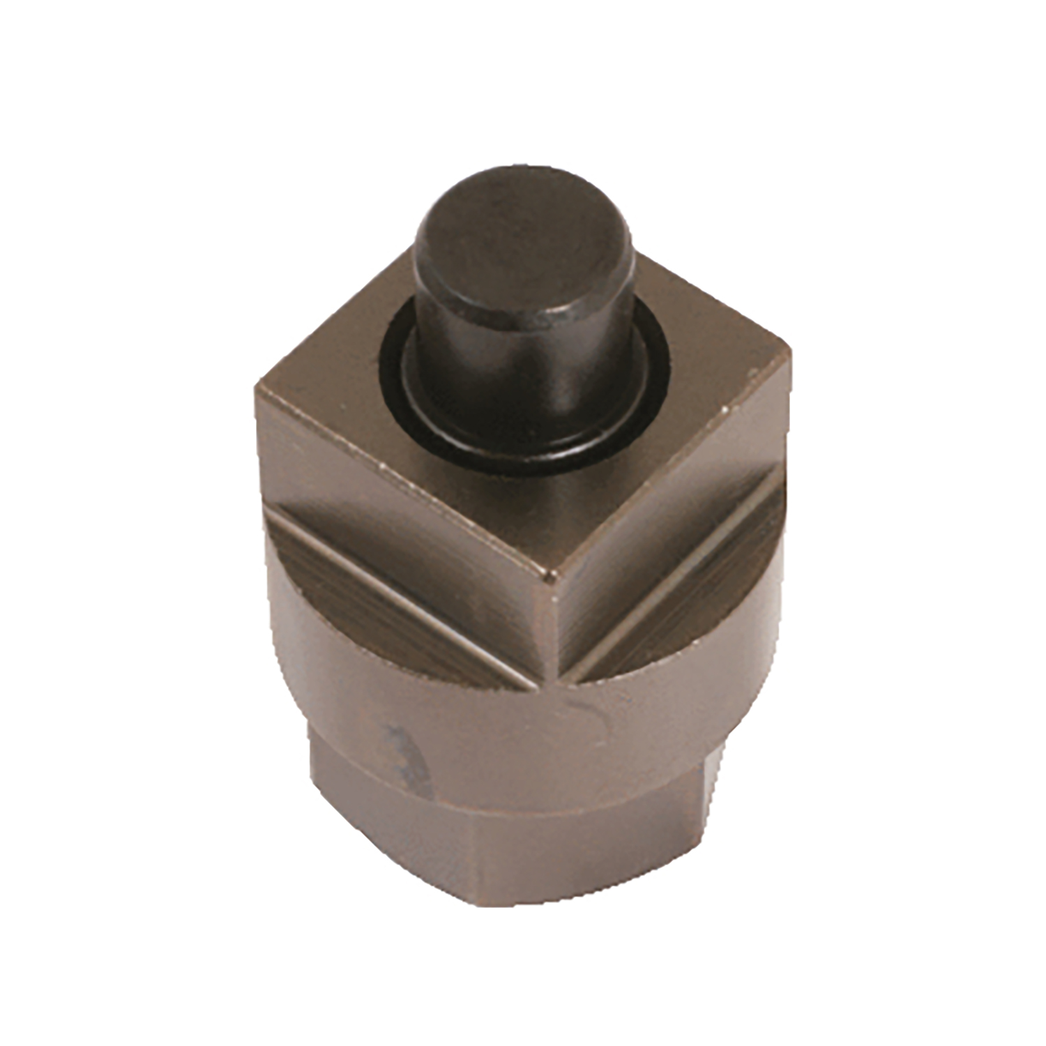 FOT_PRO_ALG_AUTO_400.9043_SALL_AING_V1