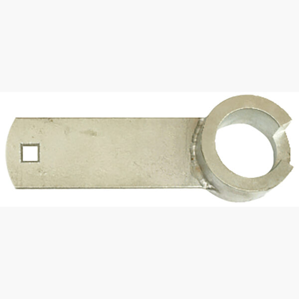 FOT_PRO_ALG_AUTO_400.9042_SALL_AING_V1