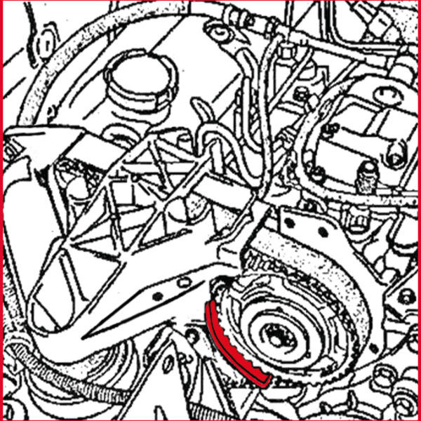 FOT_ANW_ALG_AUTO_400.9016.AW1_SALL_AING_V1