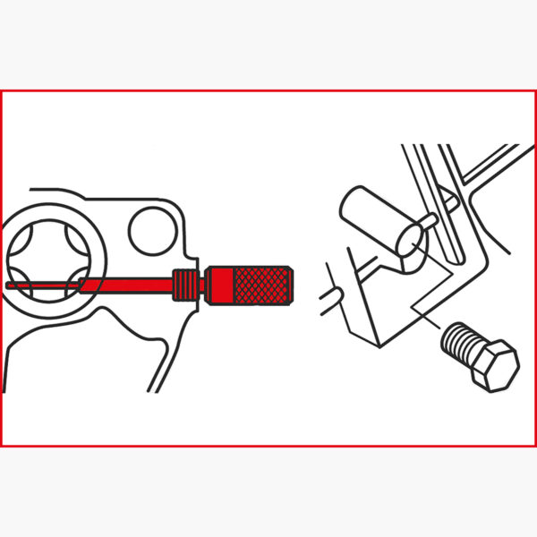 FOT_ANW_ALG_AUTO_400.2525.AW2_SALL_AING_V1